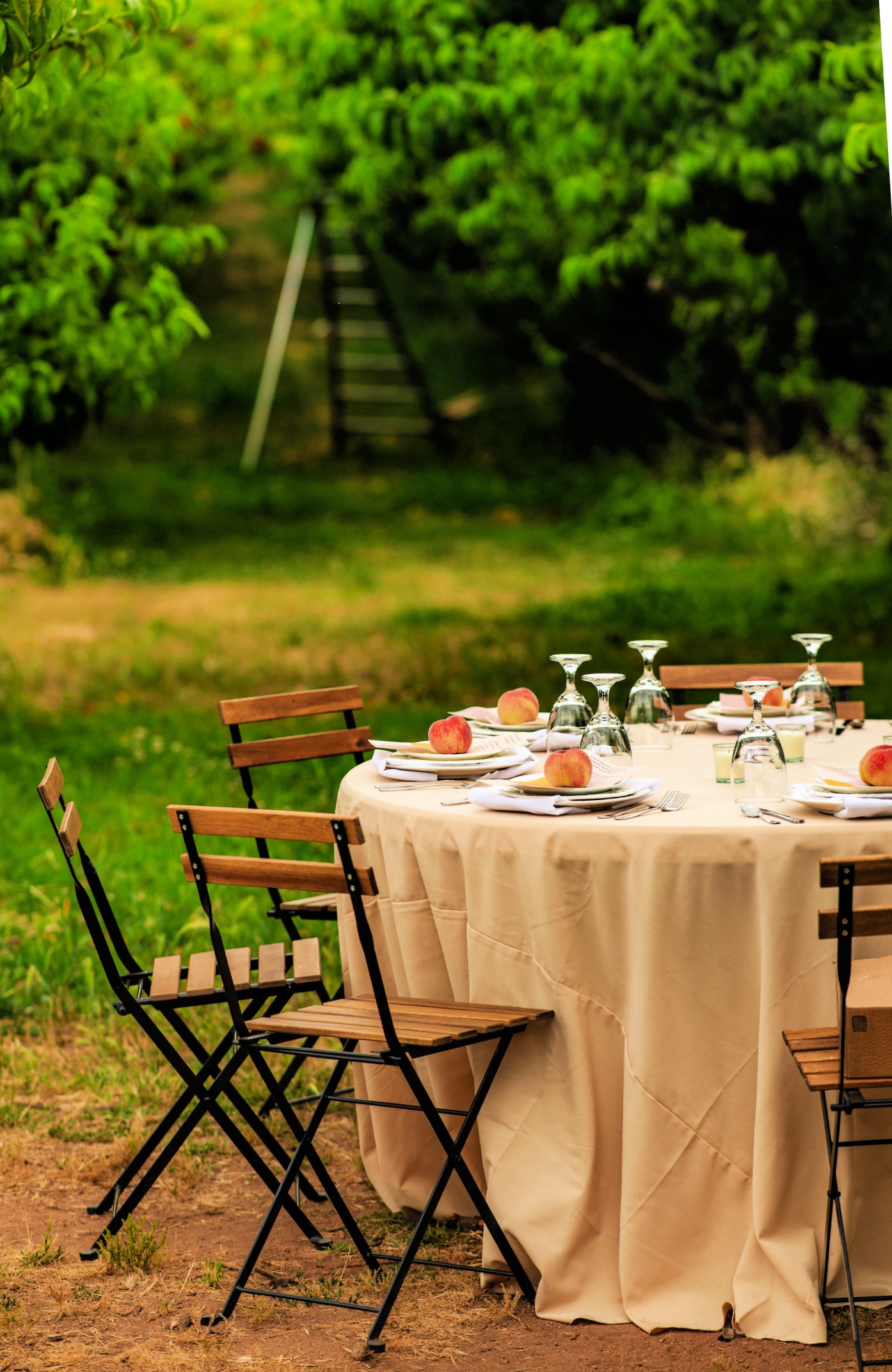 Elegant farm-to-table event designed and catered by Shef Madres Catering in the Greater Sacramento region.